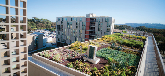 rooftop garden
