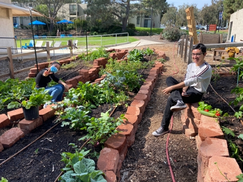 Marshall Community Garden