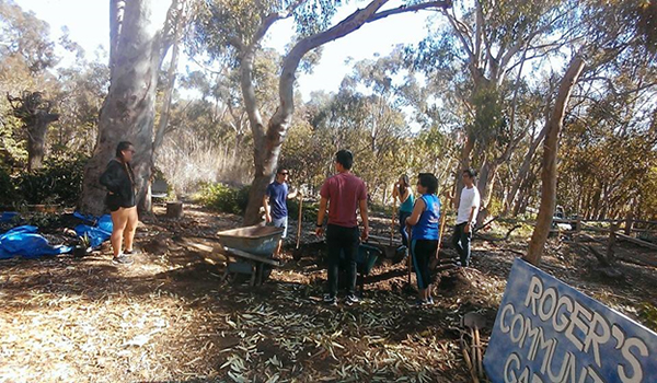 Roger's Community Garden