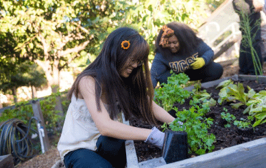 students gardening