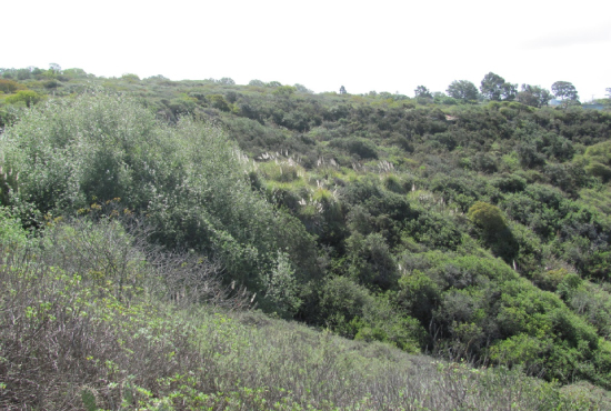 Ecological Reserve