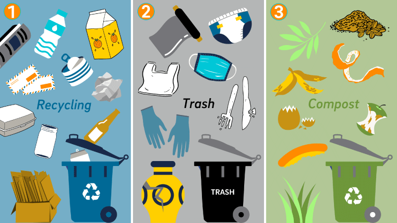 waste and recycling guidelines graphic